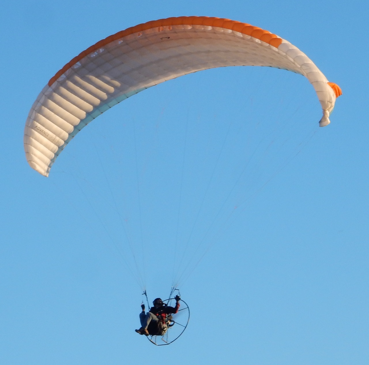 PPG pilot with a cravat in his glider