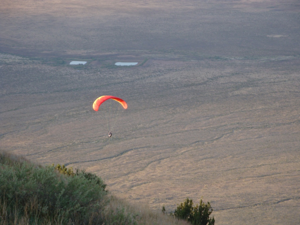 soaring in front of Mt Riley, Dona Ana County, New Mexico