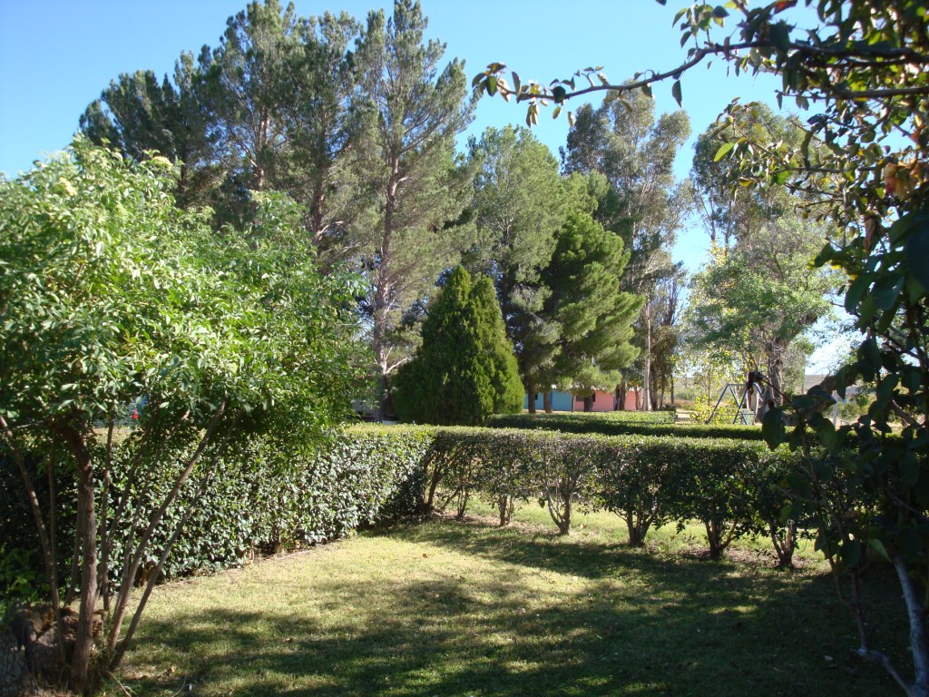 countryside in Chihuahua City, Chih., Mexico