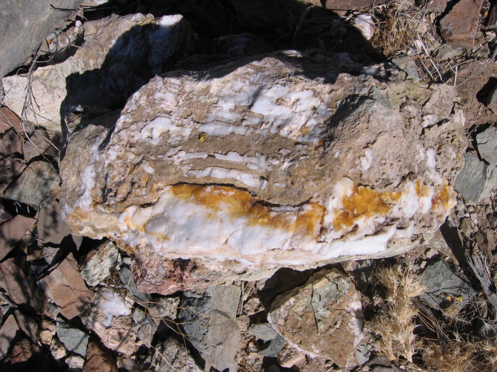 minerals in East Potrillo Mountains Dona County New Mexico
