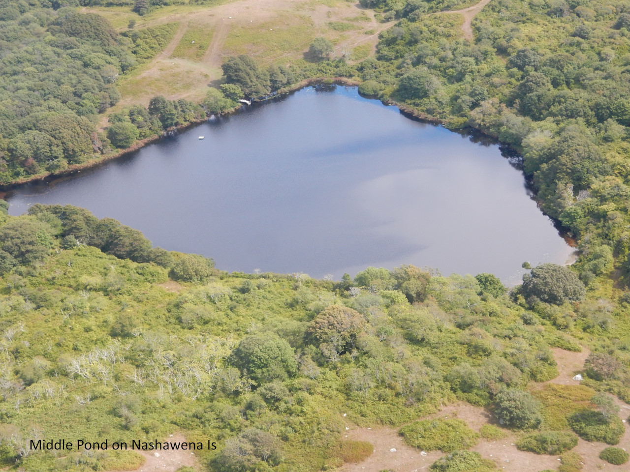 Middle Pond, Nashawena Island, MA