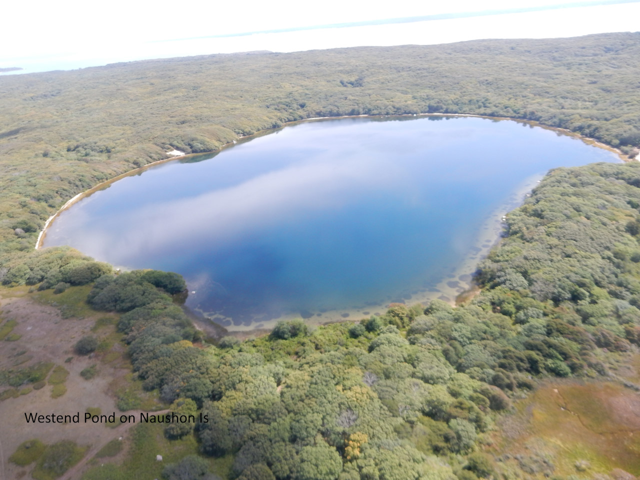 Westend Pond, Naushon Island, MA