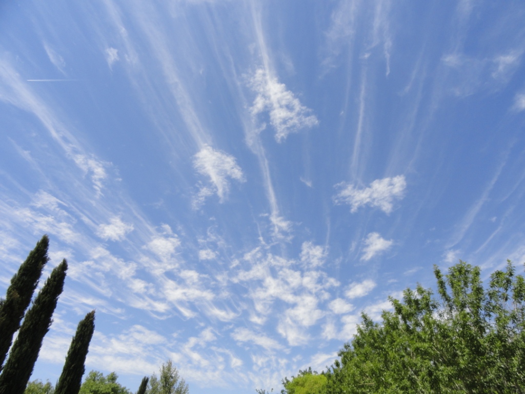 Cirrus clouds